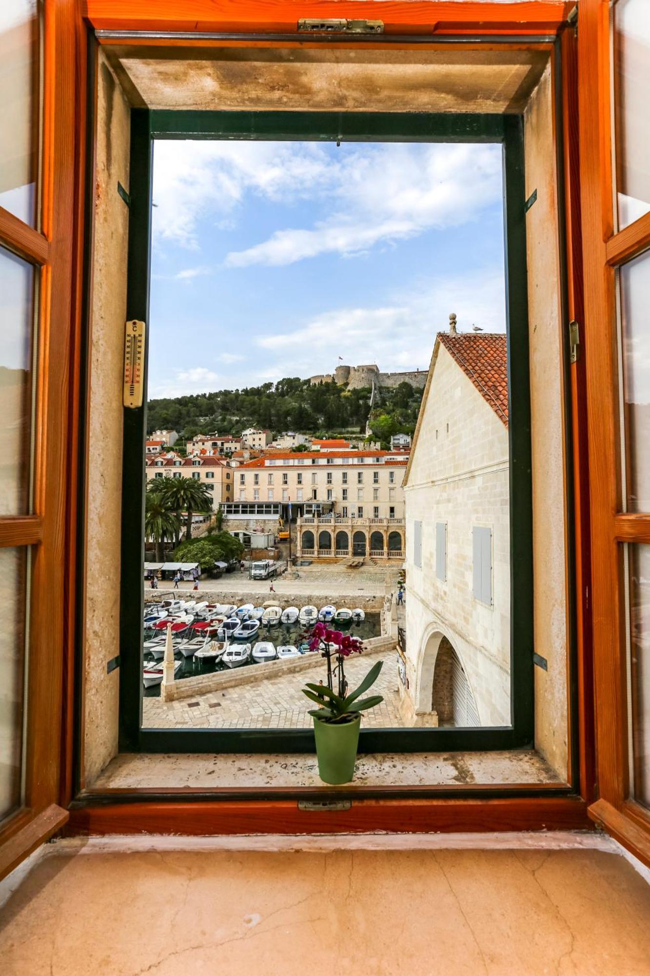Lilly With Amazing View